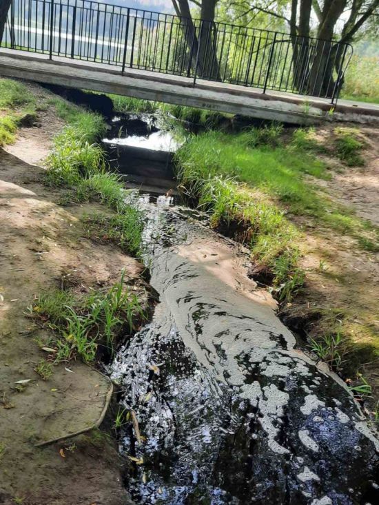  ��������� ����������� ���� ����������� ������� ������� 