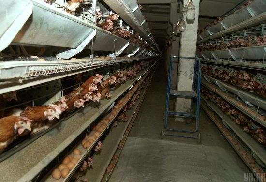  ������ ���� ������ �������� ���������� 