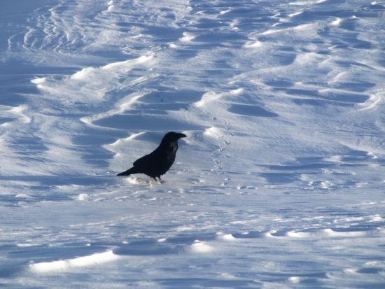 ����: ru.tsn.ua