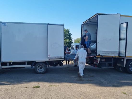  ������� ������� ������ ���� ������� 