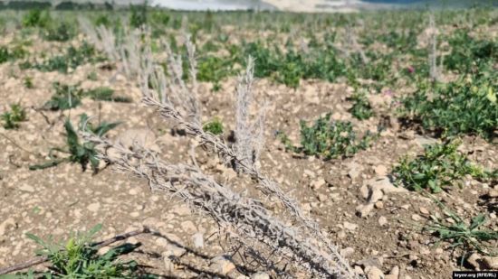  ���� �������� ����� ����������� ����� ���������� ����������� ���������� 