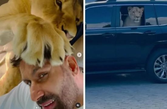  ������� ���� ���� 