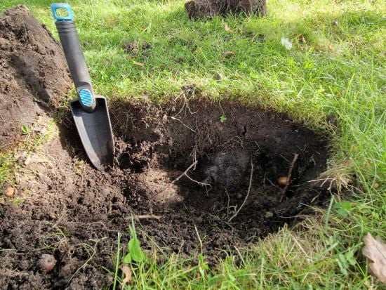 ������ ������, � ���������� ����������� ����� ��������: ����� ������� ������������ �������� (����)