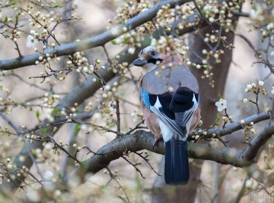  ���� ����� ����� ����������� 