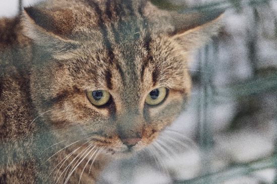 ����: ru.tsn.ua