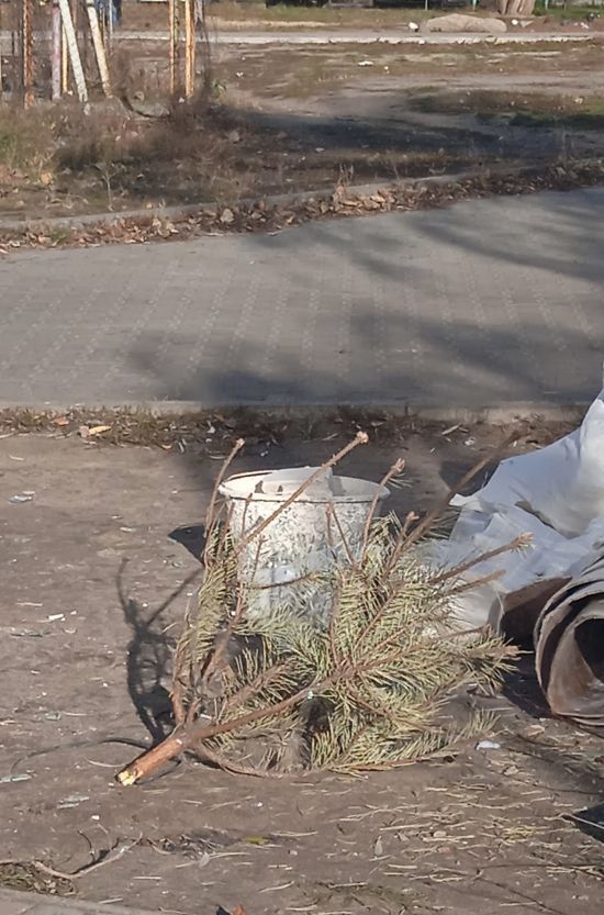  ���� ���� ������ ���-�� 