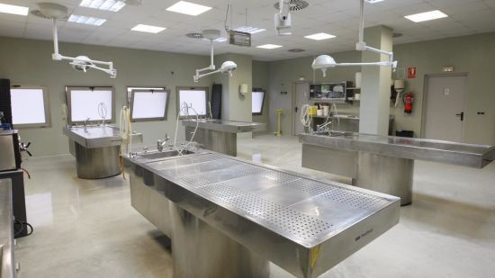  ������� �������� ���� �������� ������� ��� ������ 