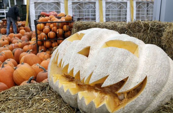 ����: ru.tsn.ua