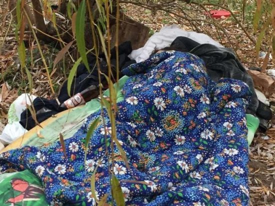  ����� ������ ����������� ����� ������ 