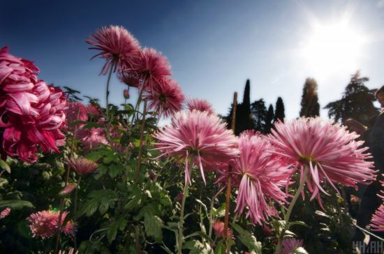 ����: ru.tsn.ua