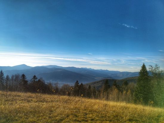 ����: ru.tsn.ua