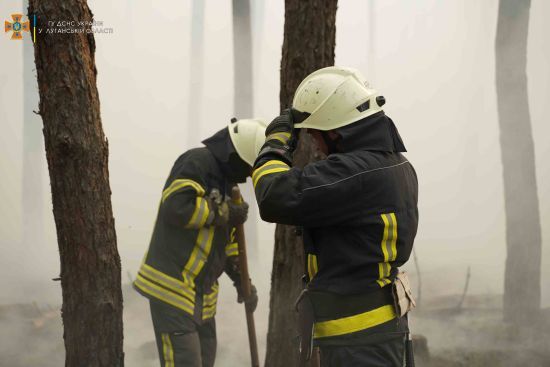  ��������� ������������ ������� ������� 