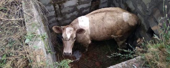  ����� ��� ���������������� ��������� ��������� ������ ������� 