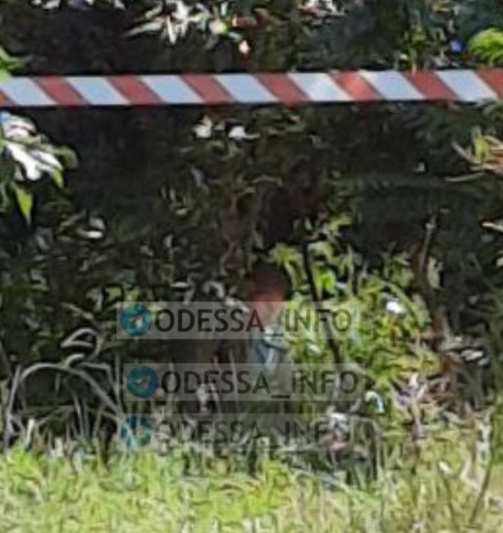  ������ ����� ���������� ������������ 300 �������� 