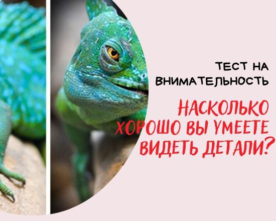  ���� ������ �������� 