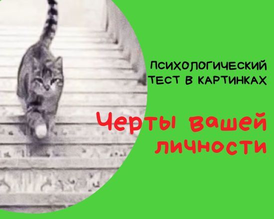  ������ ������ �������� �������� ������� 