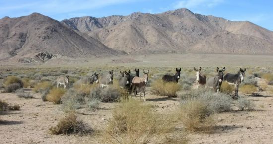  ����� �������� ������ �������� ����� ���� 