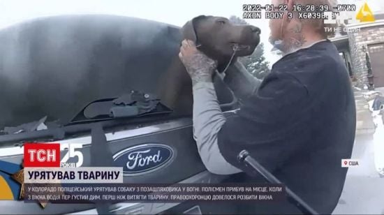  ����������� �������� ��� ����������� ������� ������ ����������� ����� 