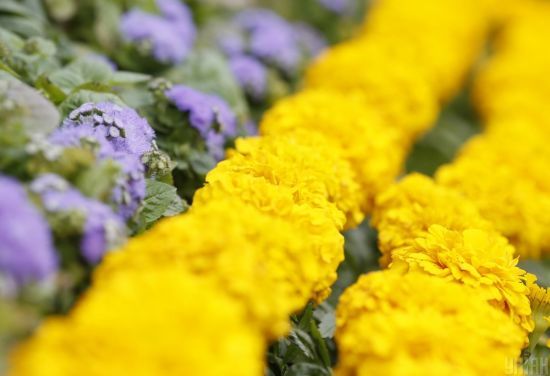  ���� ����������� �������� ����� ���� 