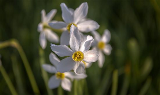  ����� ���� ����������� ������ ����� ������������ �������� �������� 