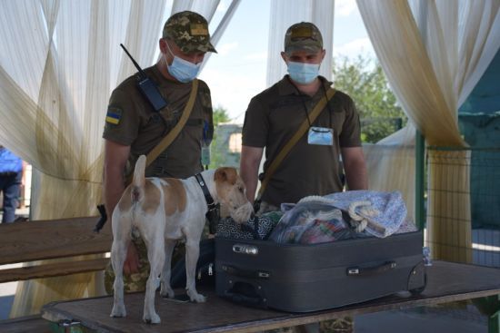  �������� �������� ������� ���������� �������� 