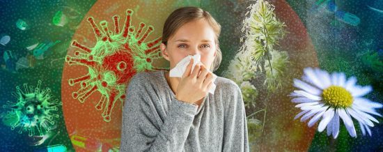  �������� �������� �������� ����� ���������� 