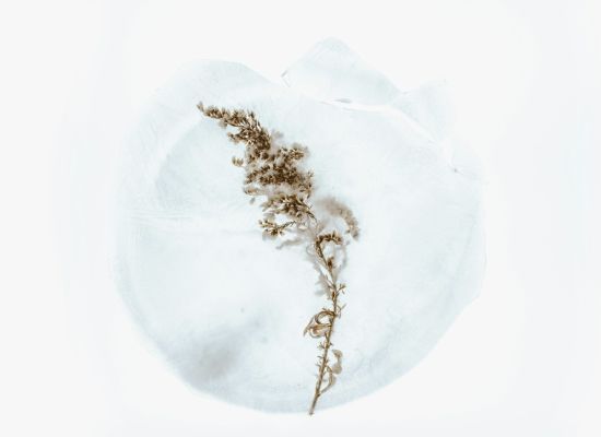 ����: ru.tsn.ua