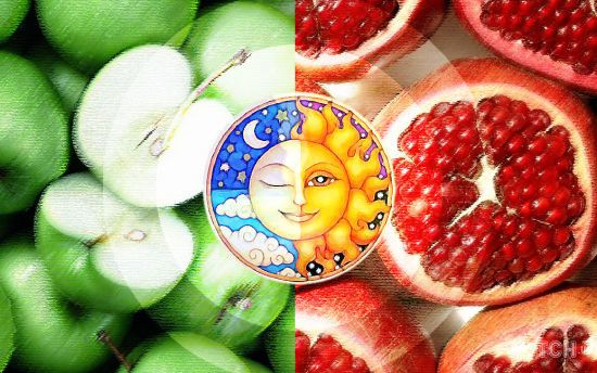  ������� ������������� ���� ����� �������� ����� ���������� �������� 