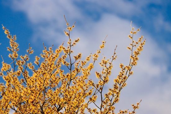  ��� ���� ���� ���������� ����� ������� ����� ������ 