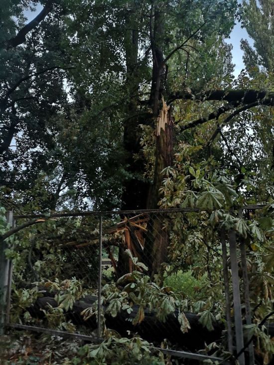  ���������� ������� ������� ������� �������� ��������� 