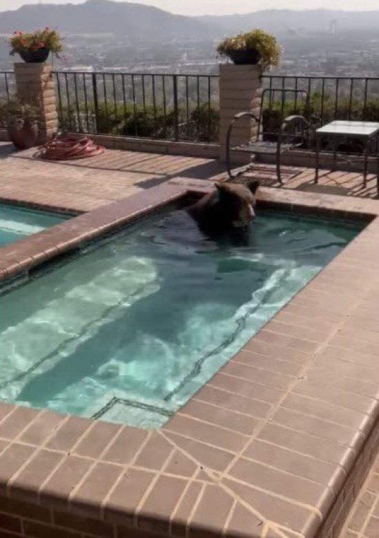  ������� ��������� ������� �������������� �������� ����� 