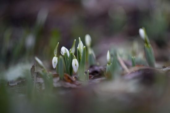 ����: ru.tsn.ua