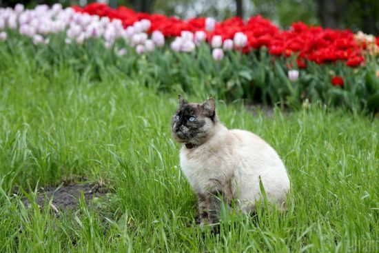  �������� ������ ��� 2022 �������� ������ �������������� ����� 