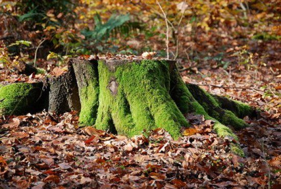  100 ���� ����� ����� ��������� 