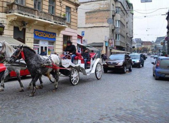  ������ �������� uanimals ������ ������ ��������� �������� ��������� 