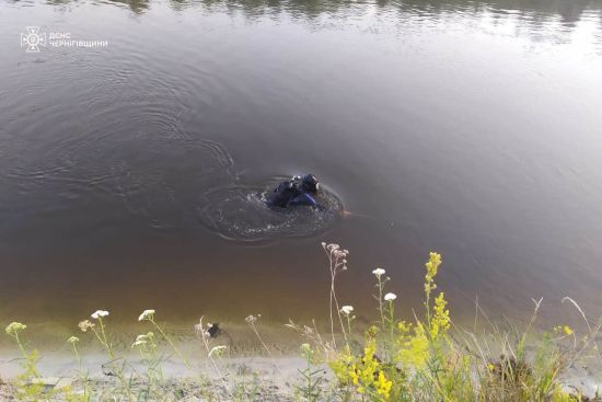 ����: ru.tsn.ua