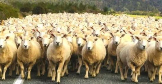  ���� ������ �������� ������� ���������� ������� 