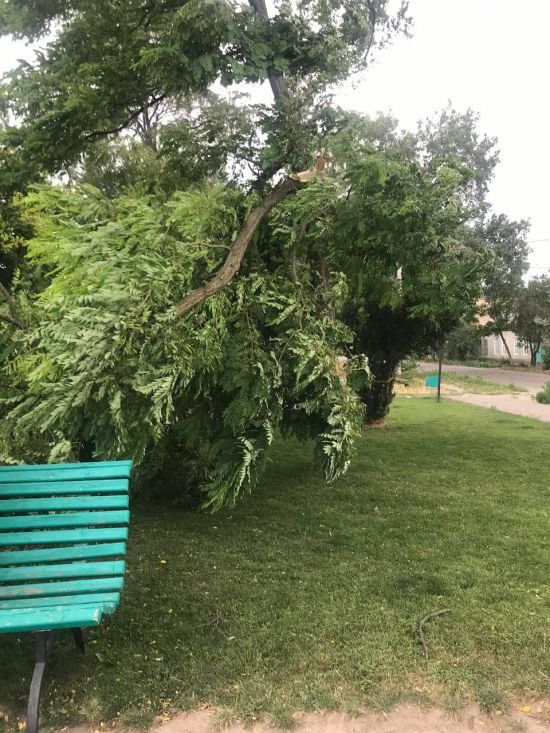  ������� ����� ������� ������ �������� ����� ���������� 