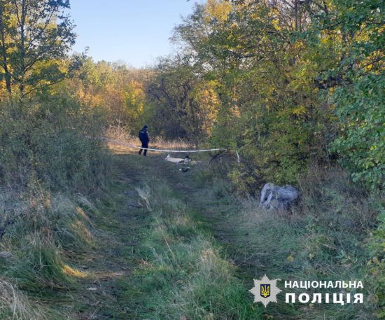 ����: ru.tsn.ua