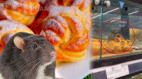  ����� ����� ����� ��� ����� ������������ 