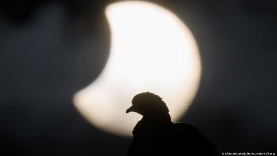  �������� ��������� ���� �������� ������� ������� 2022 ������� 