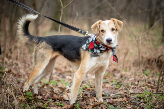  ����� ������ ���� ������ ��������� ���� ���� ������� 