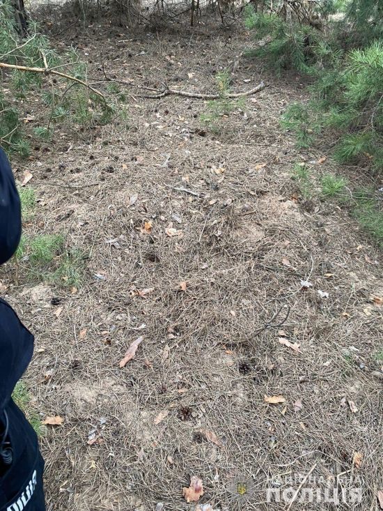 ����: ru.tsn.ua