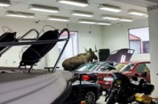  bmw ����� �������� ���� ����� 