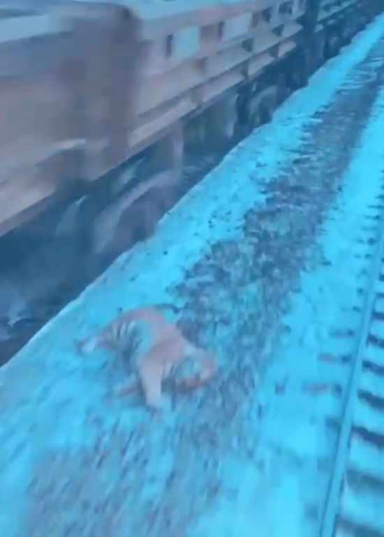  ������ ����� ���� 2022 ��������� ����� 