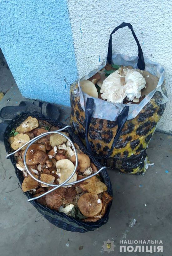  ����� ������� ����� ������� ������� 