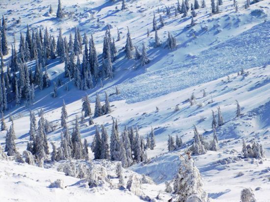  ������ ����������� ��������� ����� ����� �������� ��������� ������ 