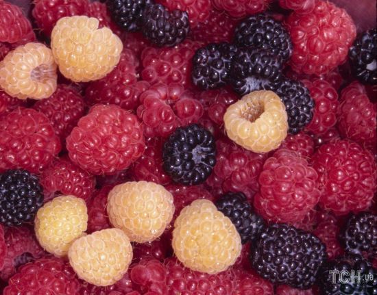  ������� ���� ����� ��� 