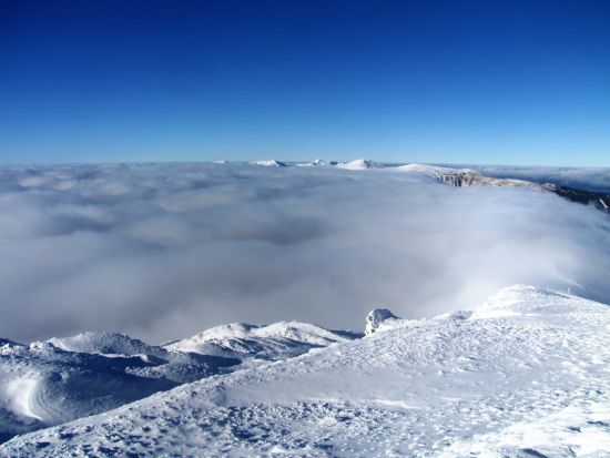  �������� ������ ����� ����� ���� �������� ����� ������� 