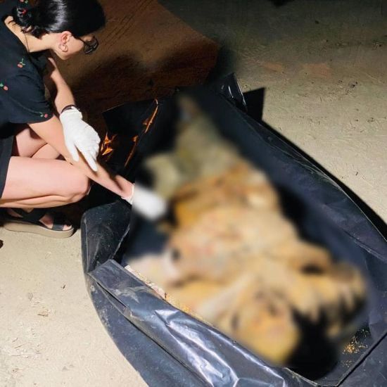  ����� ��� �������� ������� �������� ���� �������� ���������� 